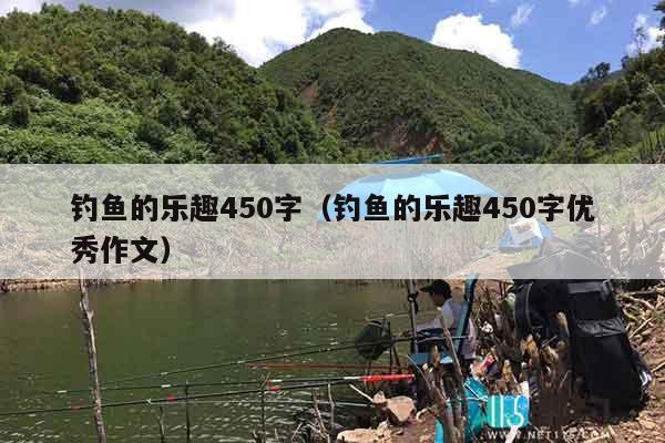 钓鱼的乐趣450字（钓鱼的乐趣450字优秀作文）