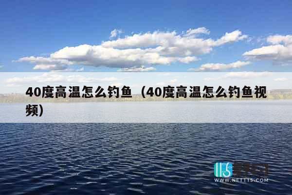 40度高温怎么钓鱼（40度高温怎么钓鱼视频）