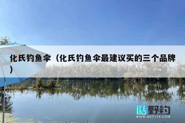 化氏钓鱼伞（化氏钓鱼伞最建议买的三个品牌）