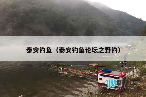 泰安钓鱼（泰安钓鱼论坛之野钓）