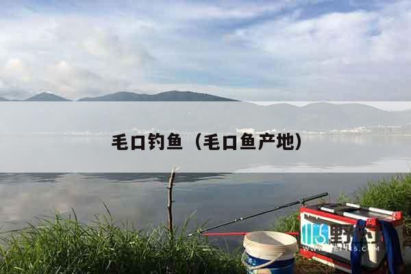 毛口钓鱼（毛口鱼产地）