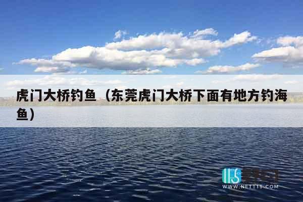 虎门大桥钓鱼（东莞虎门大桥下面有地方钓海鱼）