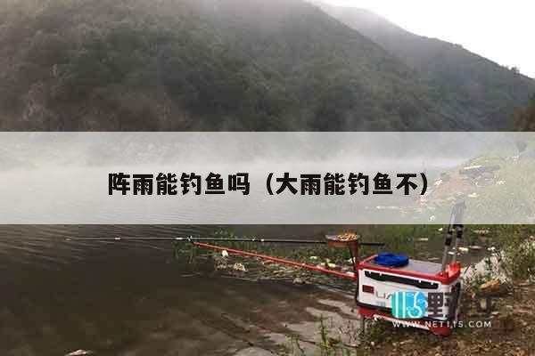 阵雨能钓鱼吗（大雨能钓鱼不）
