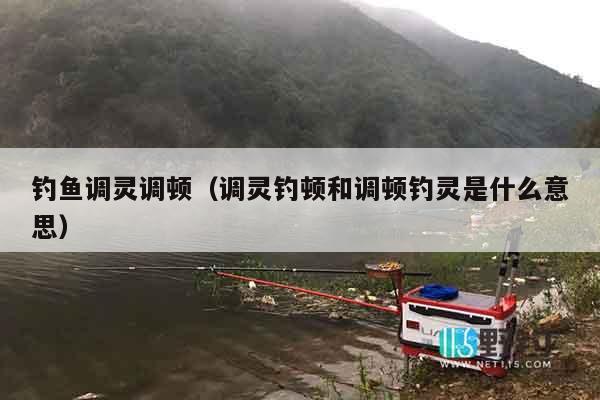 钓鱼调灵调顿（调灵钓顿和调顿钓灵是什么意思）