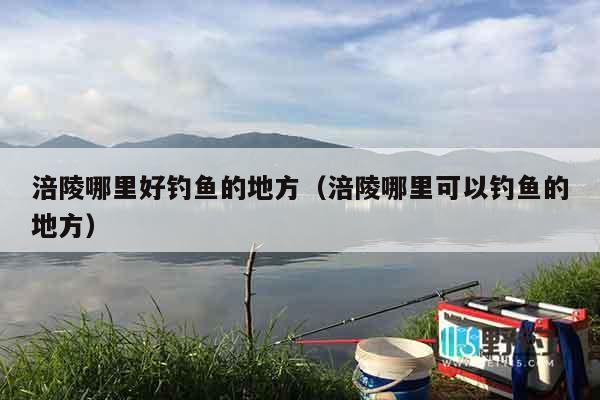 涪陵哪里好钓鱼的地方（涪陵哪里可以钓鱼的地方）