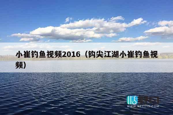 小崔钓鱼视频2016（钩尖江湖小崔钓鱼视频）