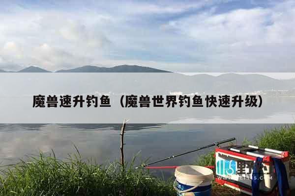 魔兽速升钓鱼（魔兽世界钓鱼快速升级）