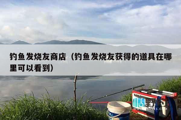 钓鱼发烧友商店（钓鱼发烧友获得的道具在哪里可以看到）