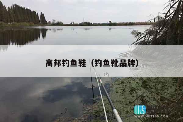 高邦钓鱼鞋（钓鱼靴品牌）