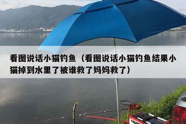 看图说话小猫钓鱼（看图说话小猫钓鱼结果小猫掉到水里了被谁救了妈妈救了）