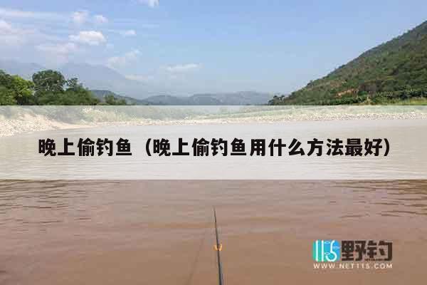 晚上偷钓鱼（晚上偷钓鱼用什么方法最好）