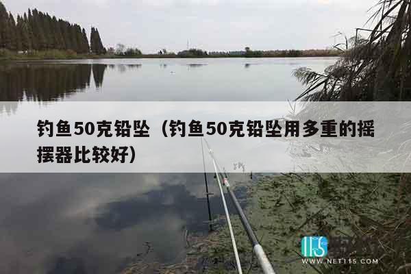 钓鱼50克铅坠（钓鱼50克铅坠用多重的摇摆器比较好）