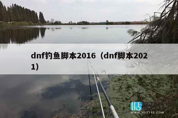 dnf钓鱼脚本2016（dnf脚本2021）