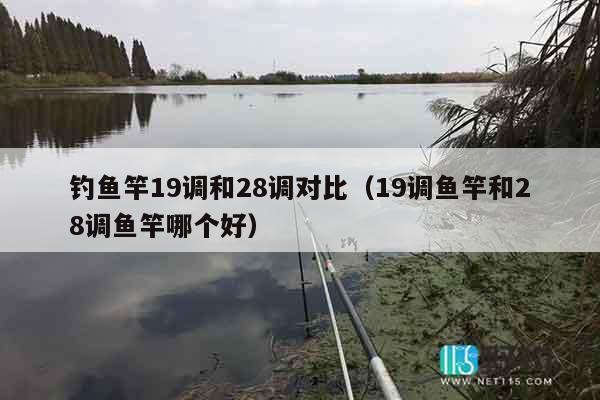 钓鱼竿19调和28调对比（19调鱼竿和28调鱼竿哪个好）