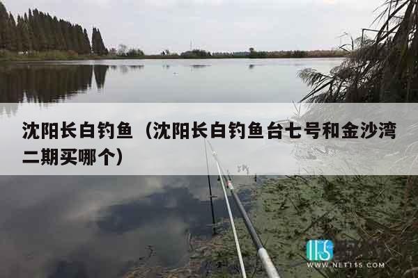 沈阳长白钓鱼（沈阳长白钓鱼台七号和金沙湾二期买哪个）