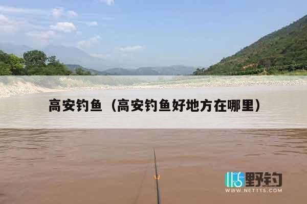 高安钓鱼（高安钓鱼好地方在哪里）