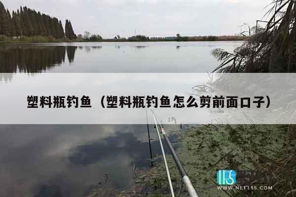 塑料瓶钓鱼（塑料瓶钓鱼怎么剪前面口子）