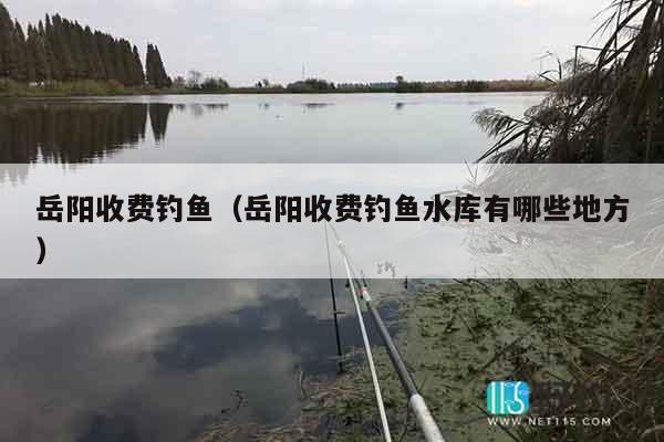 岳阳收费钓鱼（岳阳收费钓鱼水库有哪些地方）