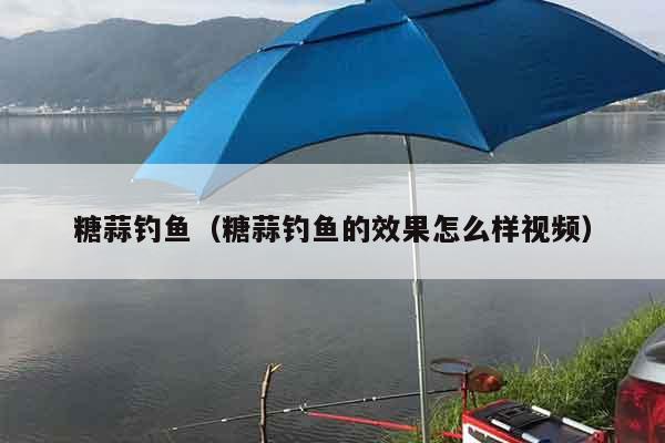 糖蒜钓鱼（糖蒜钓鱼的效果怎么样视频）