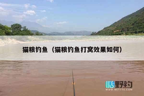 猫粮钓鱼（猫粮钓鱼打窝效果如何）