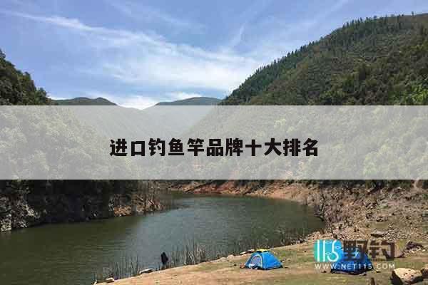 进口钓鱼竿品牌十大排名