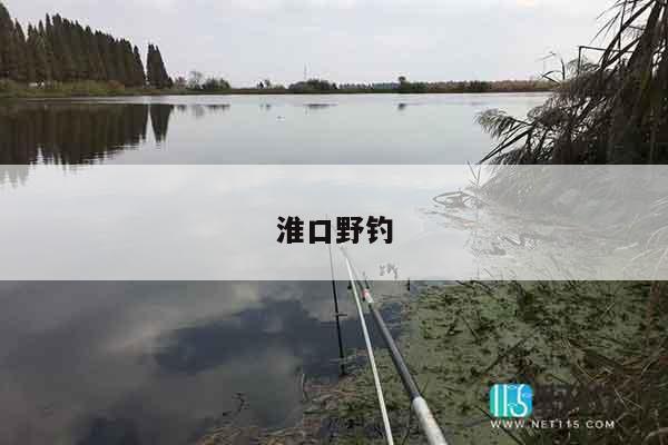 淮口野钓