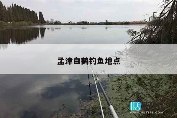 孟津白鹤钓鱼地点