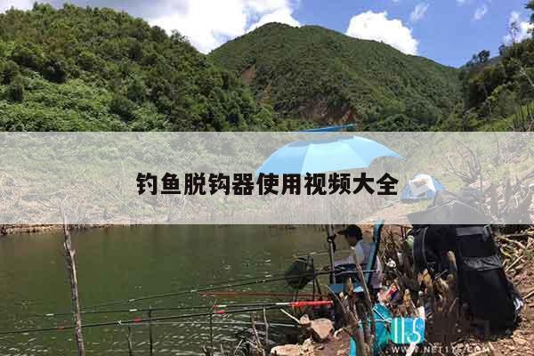 钓鱼脱钩器使用视频大全
