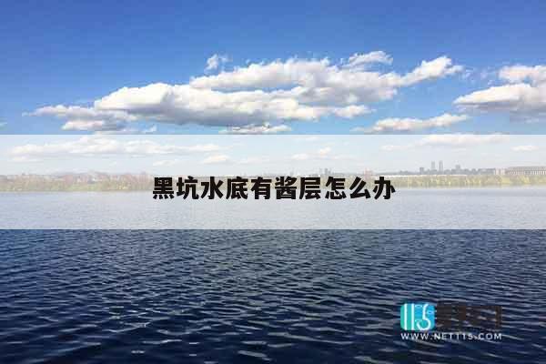 黑坑水底有酱层怎么办