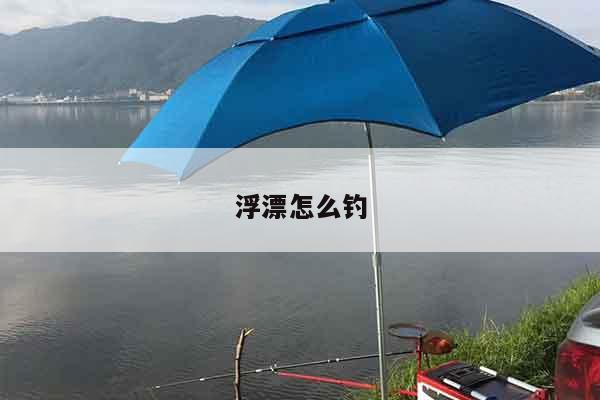 浮漂怎么钓