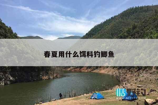 春夏用什么饵料钓鲫鱼