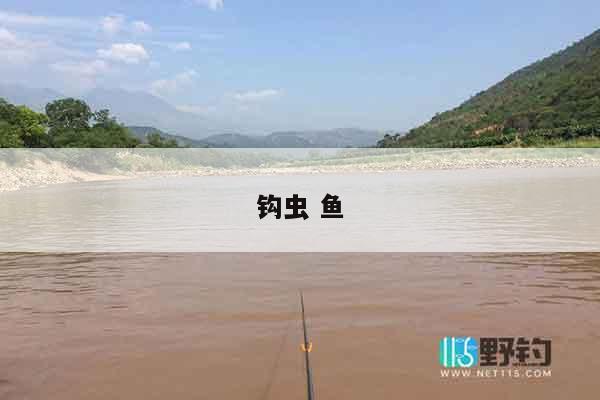 钩虫 鱼