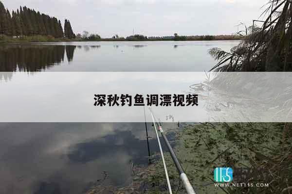 深秋钓鱼调漂视频