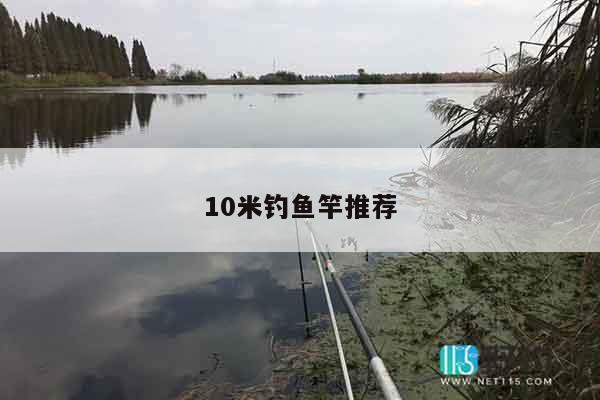 10米钓鱼竿推荐