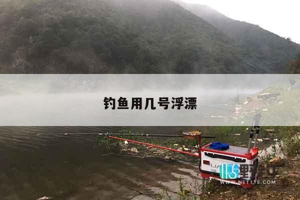钓鱼用几号浮漂