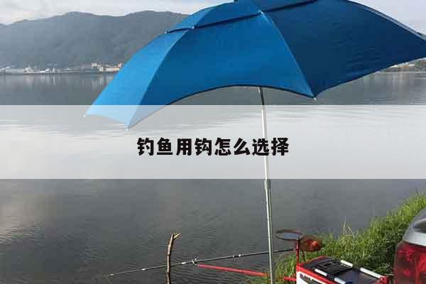 钓鱼用钩怎么选择