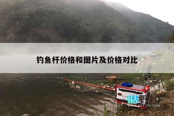 钓鱼杆价格和图片及价格对比