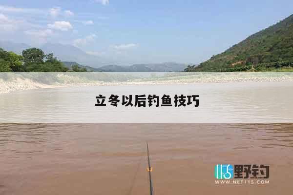 立冬以后钓鱼技巧