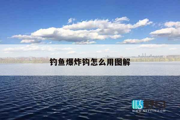 钓鱼爆炸钩怎么用图解