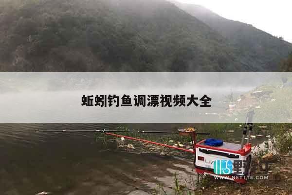 蚯蚓钓鱼调漂视频大全