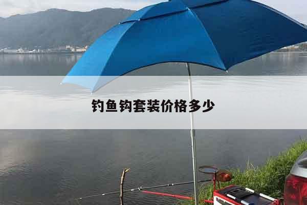 钓鱼钩套装价格多少