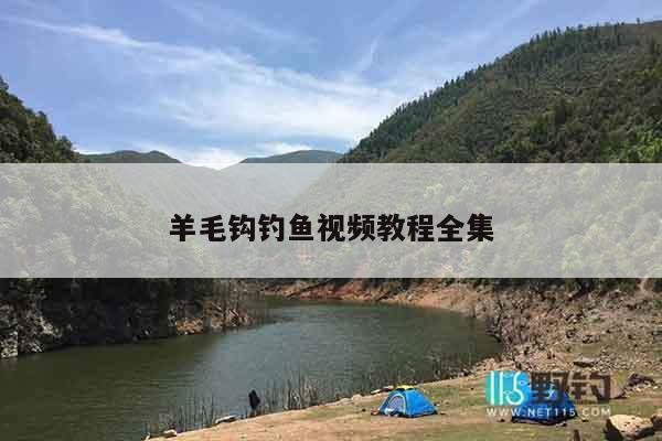 羊毛钩钓鱼视频教程全集