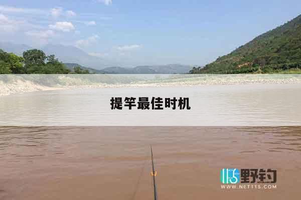 提竿最佳时机