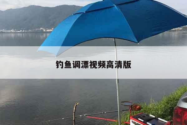 钓鱼调漂视频高清版