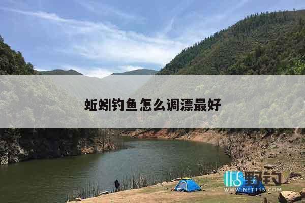 蚯蚓钓鱼怎么调漂最好