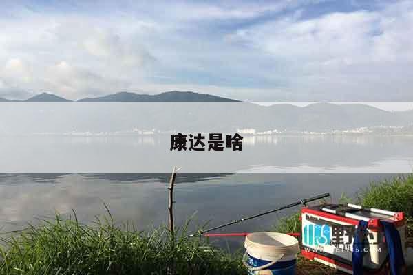 康达是啥