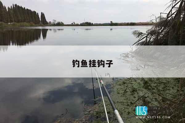 钓鱼挂钩子