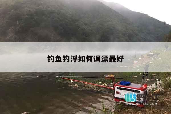 钓鱼钓浮如何调漂最好
