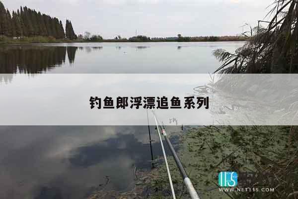钓鱼郎浮漂追鱼系列