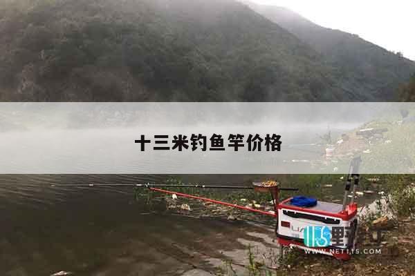 十三米钓鱼竿价格